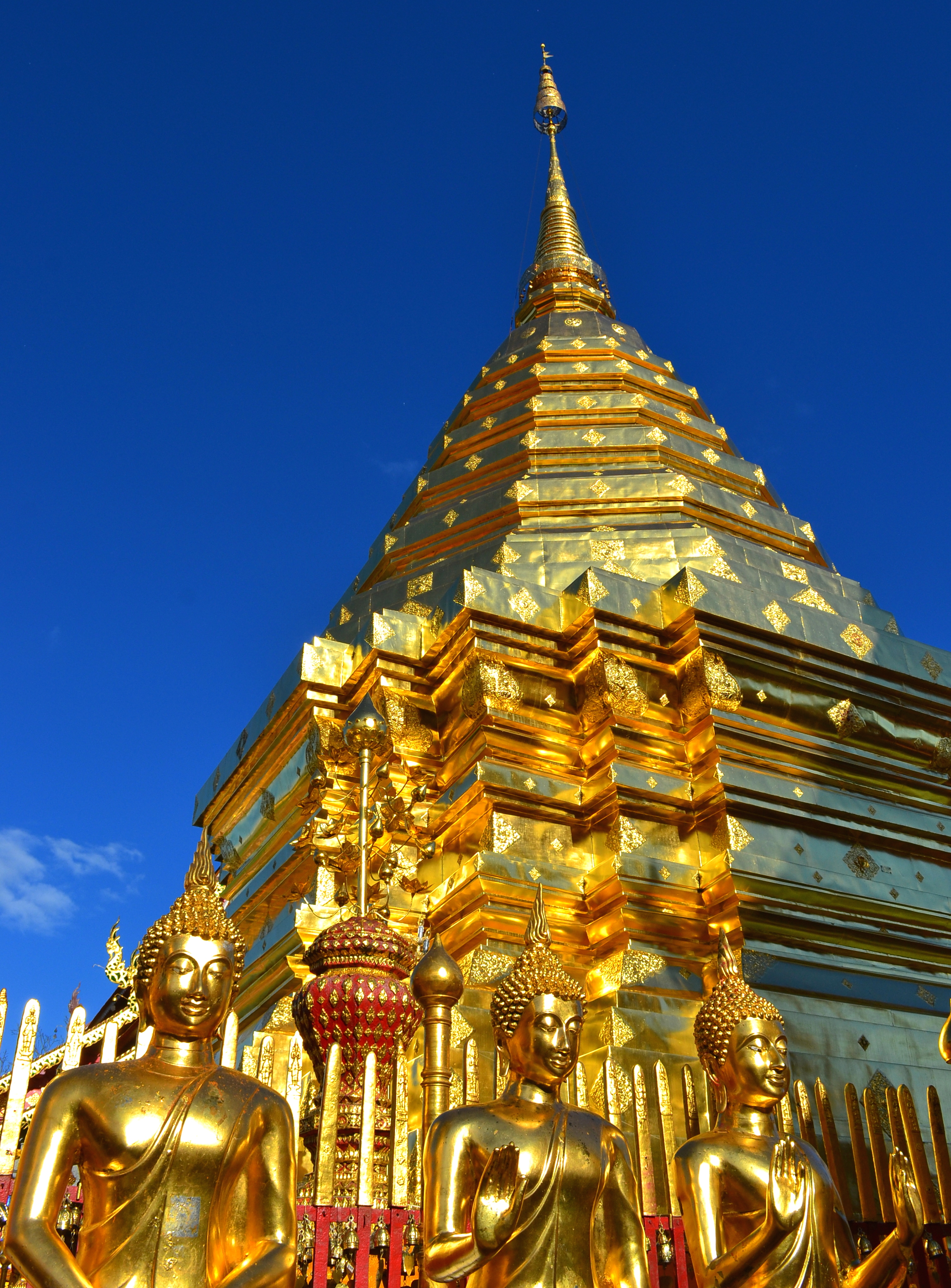 Doi Suthep, Wat Umong ve Wat Pha Lat Sunrise Küçük Grup Turu